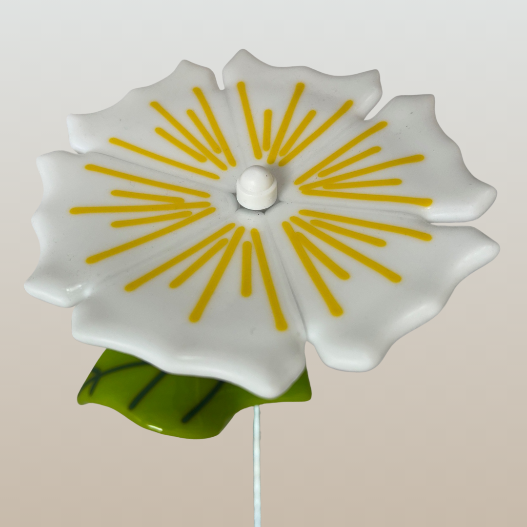 Hvis-blomst-på-stilk-med-blad